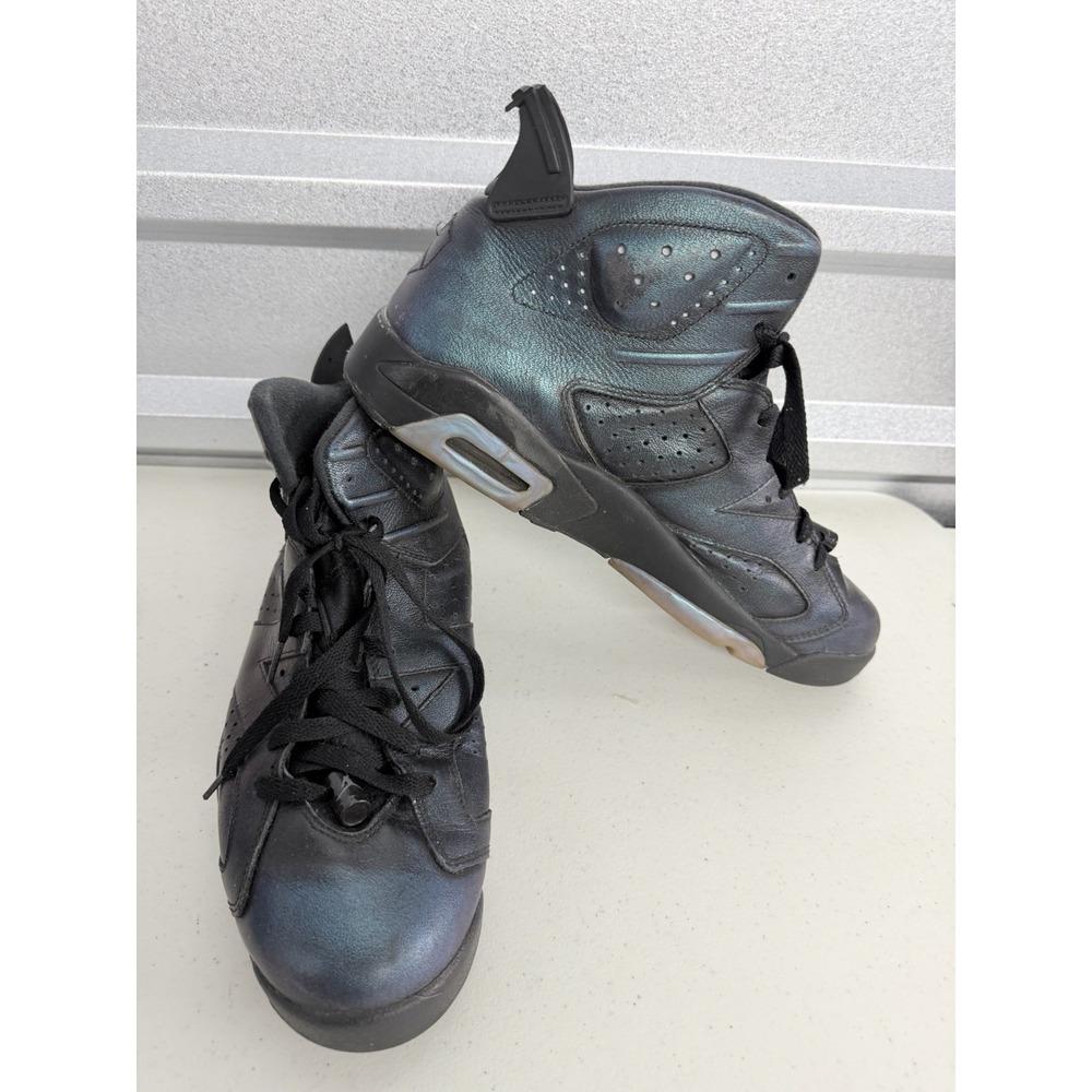 Size 11 - Air Jordan 6 Retro All Star - Chameleon